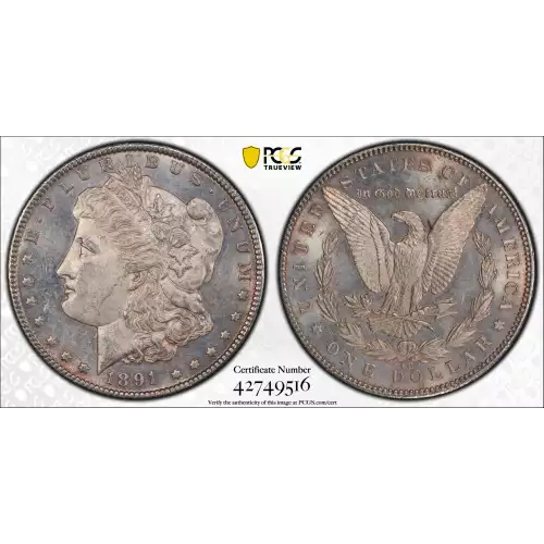 Morgan Silver Dollar