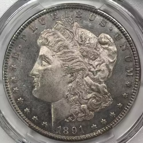 Morgan Silver Dollar