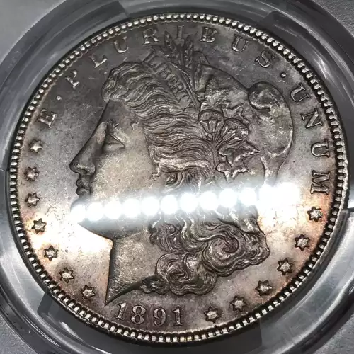 Morgan Silver Dollar