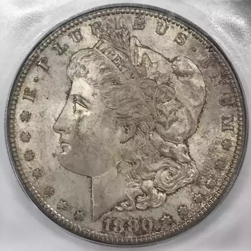 Morgan Silver Dollar (2)