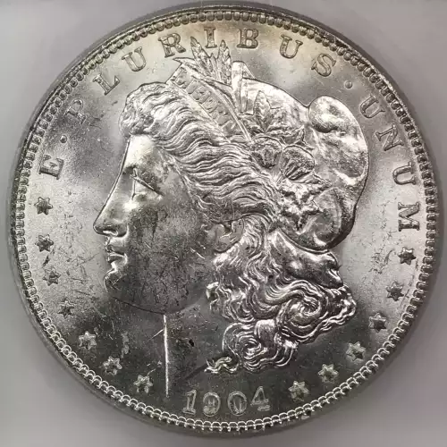 Morgan Silver Dollar (2)