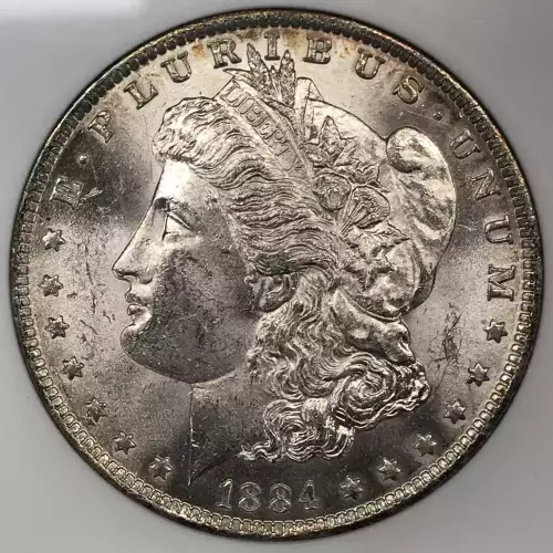 Morgan Silver Dollar (2)