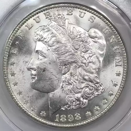 Morgan Silver Dollar (2)