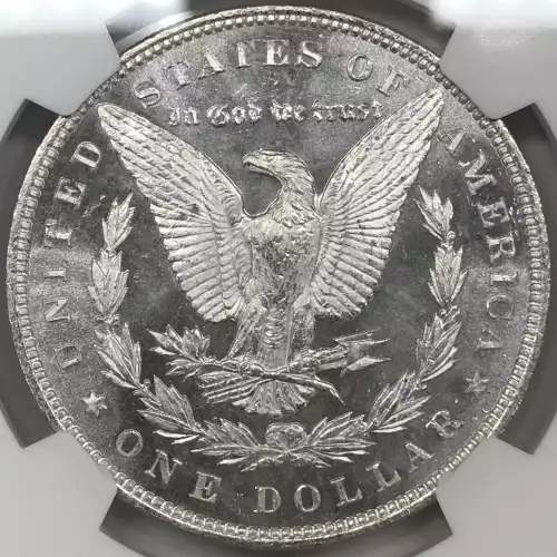 Morgan Silver Dollar