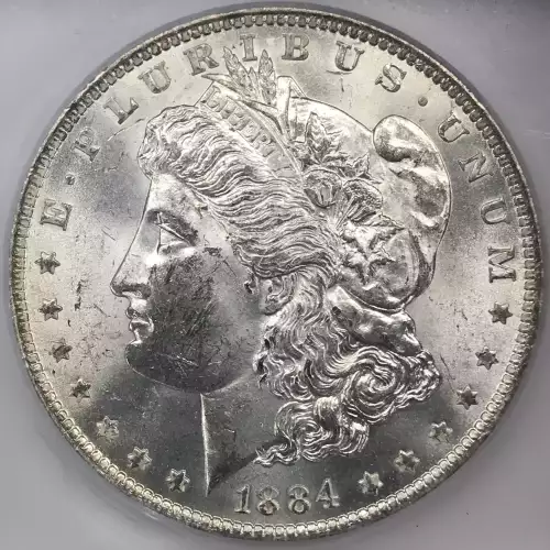 Morgan Silver Dollar (2)