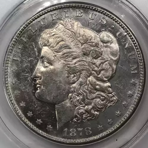Morgan Silver Dollar (2)