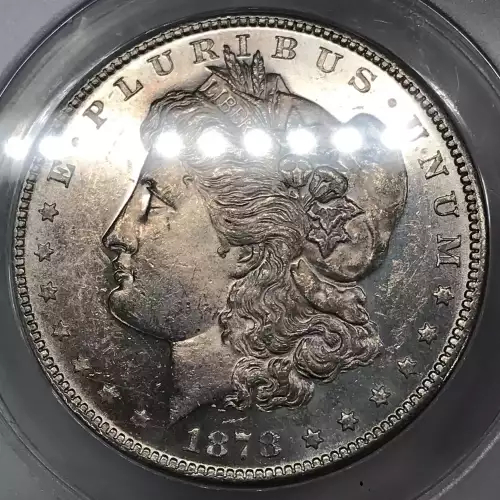 Morgan Silver Dollar (4)