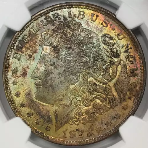 Morgan Silver Dollar