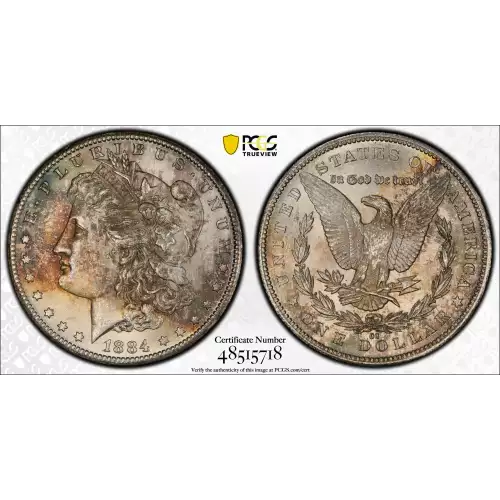 Morgan Silver Dollar