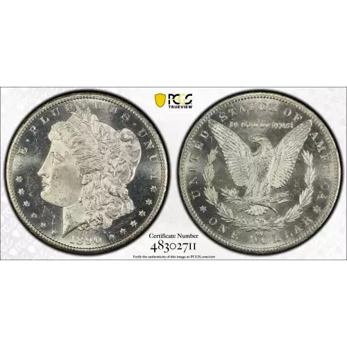 Morgan Silver Dollar