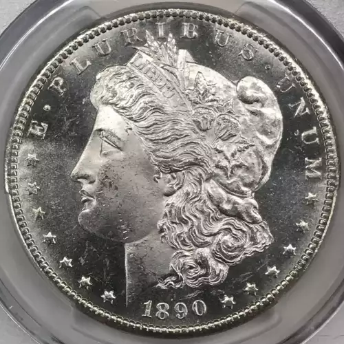 Morgan Silver Dollar