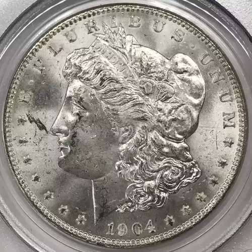 Morgan Silver Dollar (3)