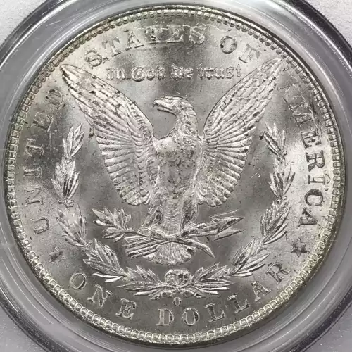 Morgan Silver Dollar (4)