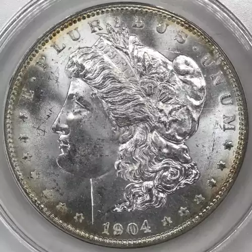 Morgan Silver Dollar (4)