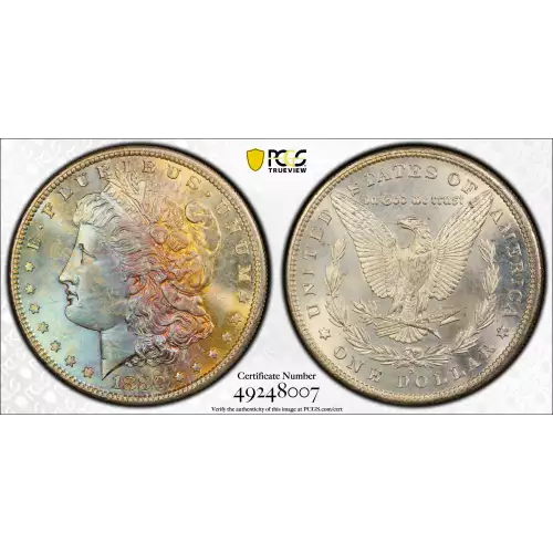 Morgan Silver Dollar