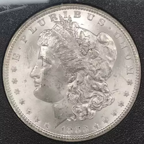 Morgan Silver Dollar (2)