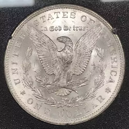 Morgan Silver Dollar (4)