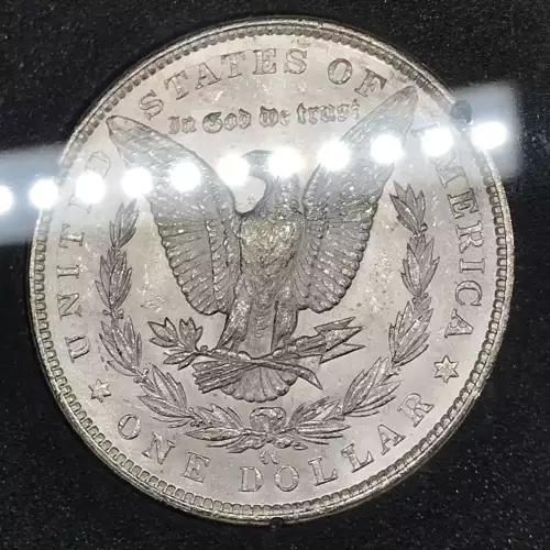 Morgan Silver Dollar (5)