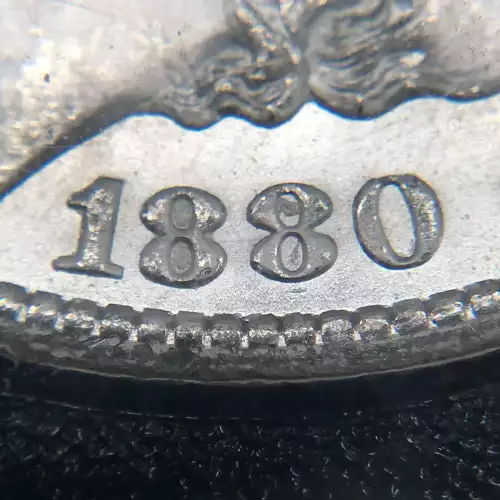 Morgan Silver Dollar (4)