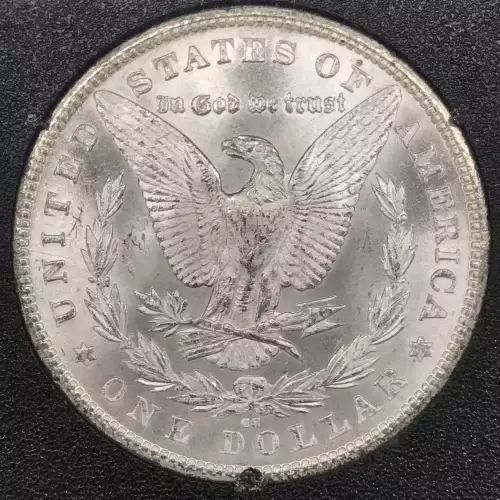 Morgan Silver Dollar