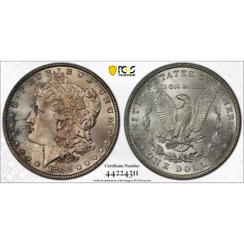 Morgan Silver Dollar