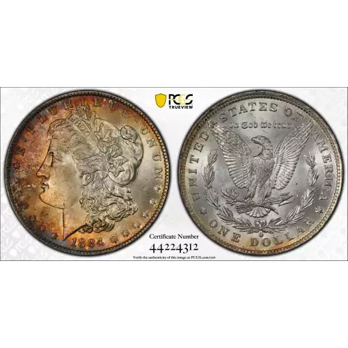Morgan Silver Dollar