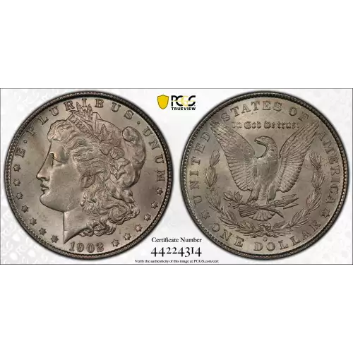 Morgan Silver Dollar