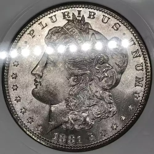 Morgan Silver Dollar (2)