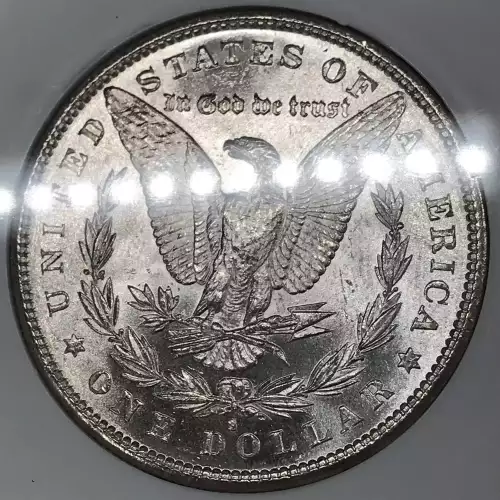 Morgan Silver Dollar (5)