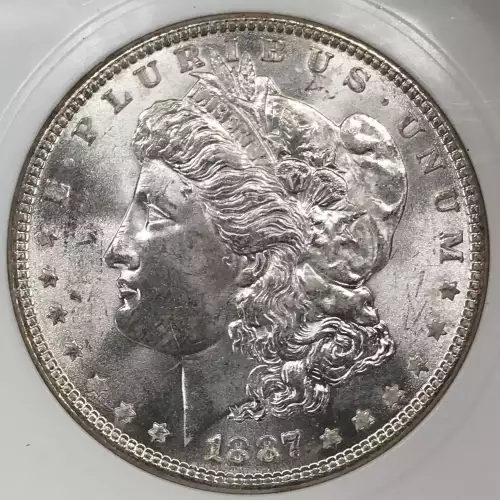 Morgan Silver Dollar (5)