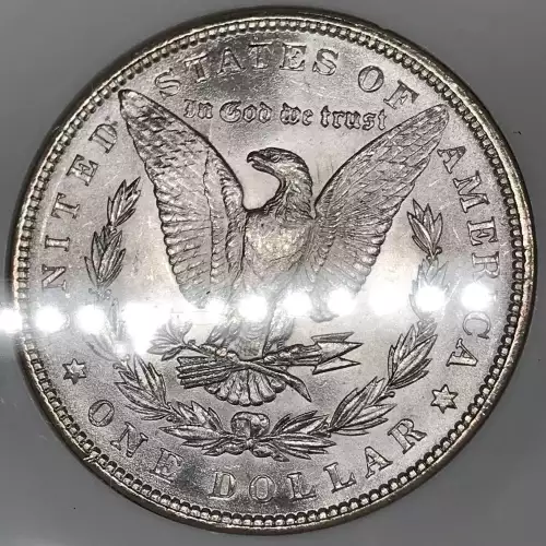 Morgan Silver Dollar (2)