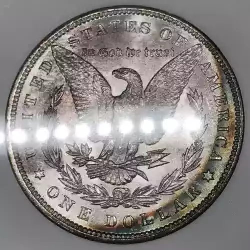 Morgan Silver Dollar (2)