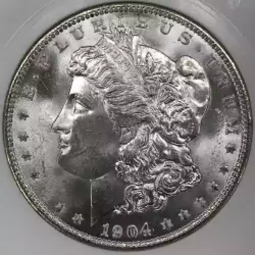 Morgan Silver Dollar (5)