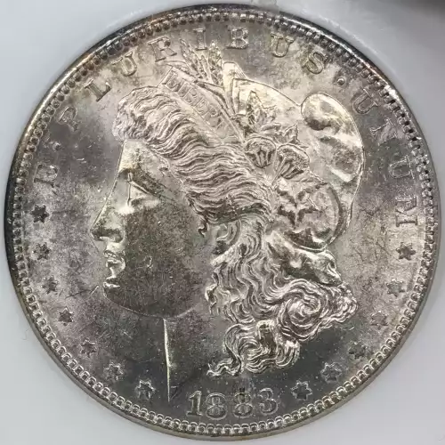 Morgan Silver Dollar (2)