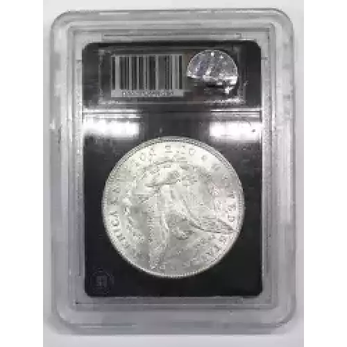 Morgan Silver Dollar (2)