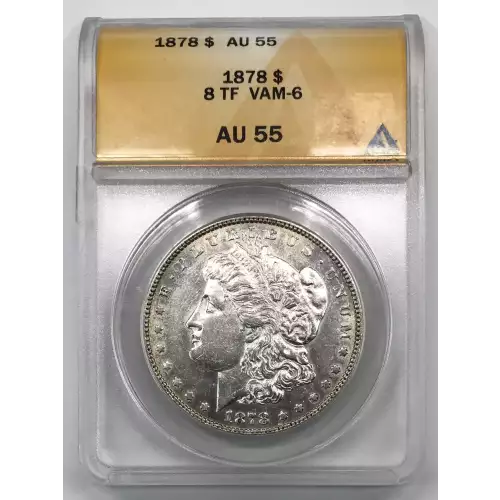 Morgan Silver Dollar (2)