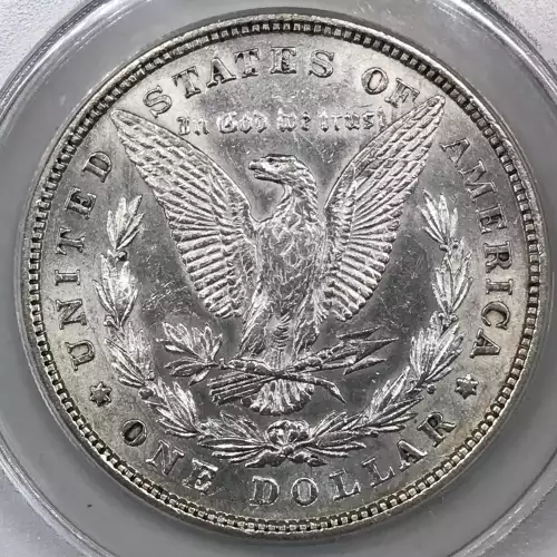 Morgan Silver Dollar (4)