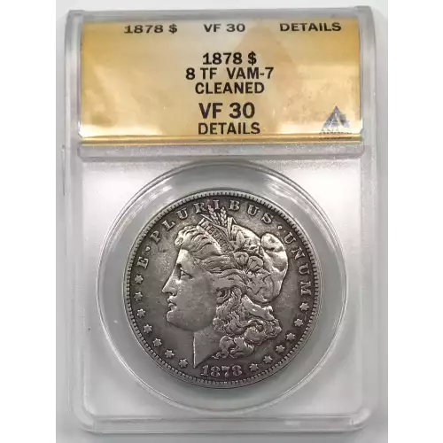 Morgan Silver Dollar (2)