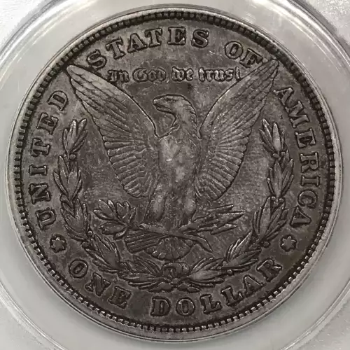 Morgan Silver Dollar (4)