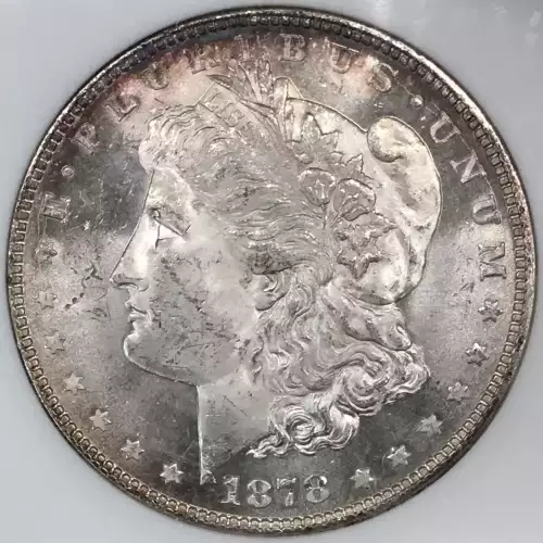 Morgan Silver Dollar (4)