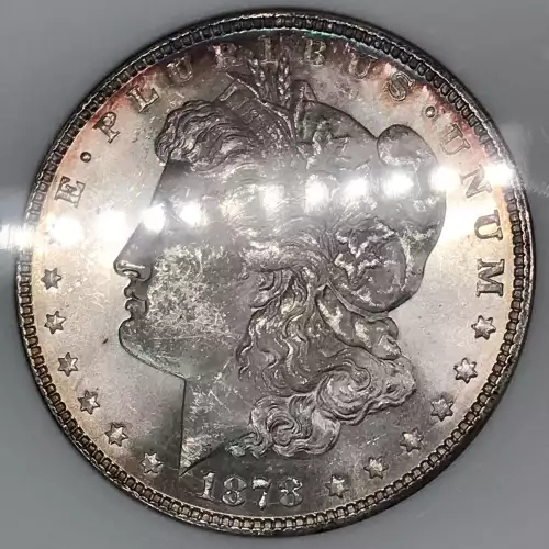 Morgan Silver Dollar (5)