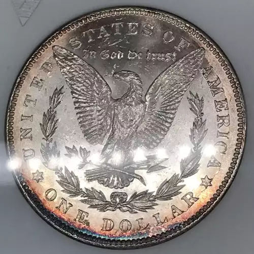 Morgan Silver Dollar (2)