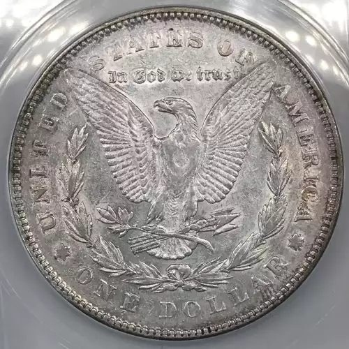 Morgan Silver Dollar (4)