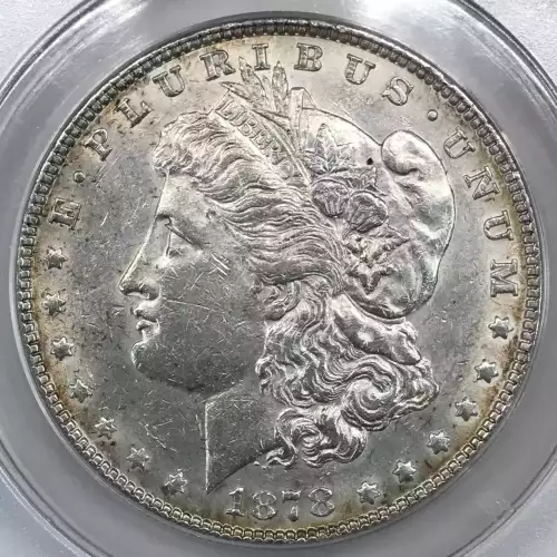 Morgan Silver Dollar (4)