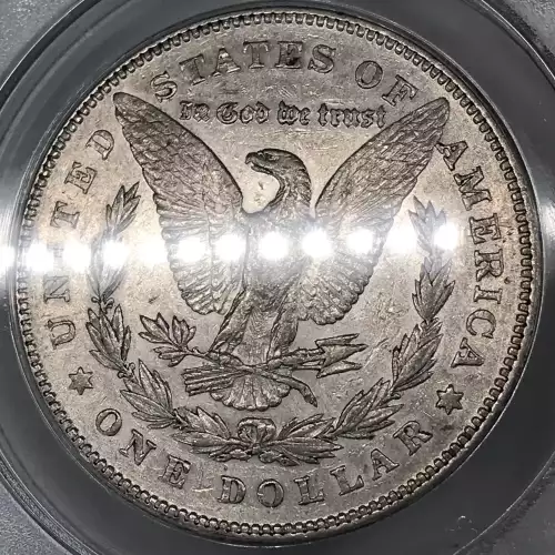 Morgan Silver Dollar (4)