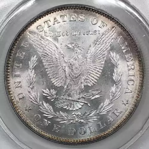 Morgan Silver Dollar (4)