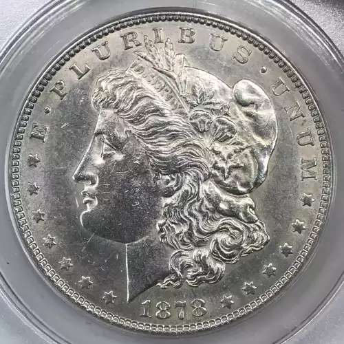 Morgan Silver Dollar (4)