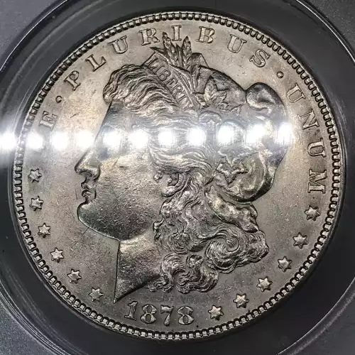 Morgan Silver Dollar (5)