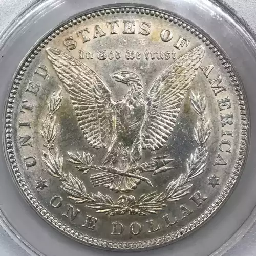Morgan Silver Dollar (2)
