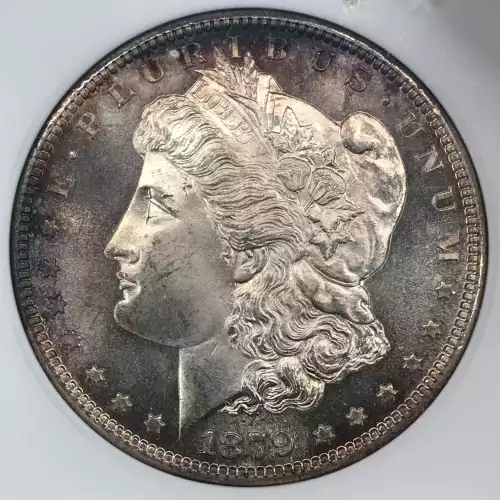 Morgan Silver Dollar (2)